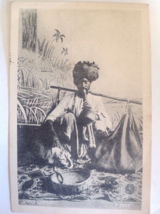 Indian Snake Charmer - Vintage Postcard