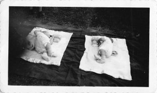 Are You My Doppleganger - Twin Baby Like Looking In The Mirror Vtg Photo 146