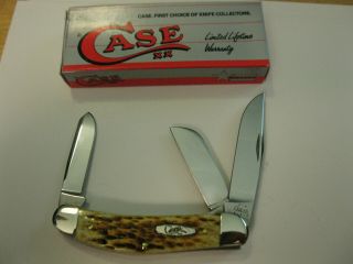 Case XX Tony Bose SOWBELLY Knife TB6338SS AMBER Jigged Bone Handles Made In USA 4