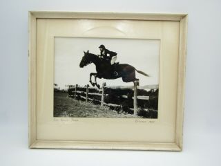 Vintage 1955 Framed Equestrian Horse Jumping Fence Real Photo By June Fallaw