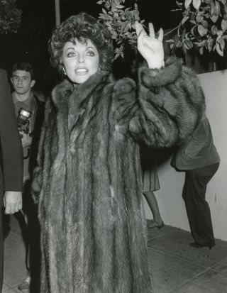 Joan Collins In Fur 7x9 Photo V9847