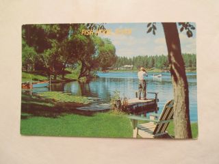 Fish Hook River Postcard