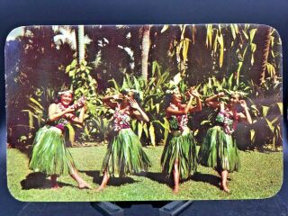 Postcard Hawaii Hula Dancers The Cock - Eyed Mayor Of Kaunakakai C1960 Unposted