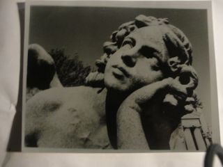 Closeup Of Statue Angel Head Vintage B/w Photo 8x10