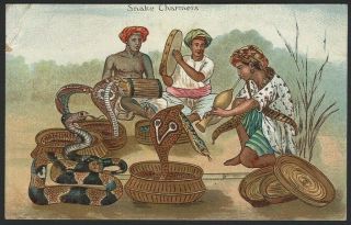India Vintage Colour Postcard Snake Charmers
