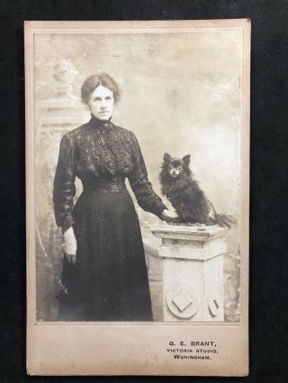 Victorian Photo: Cabinet Card: Lady With Dog On Pedestal: Brant: Wokingham
