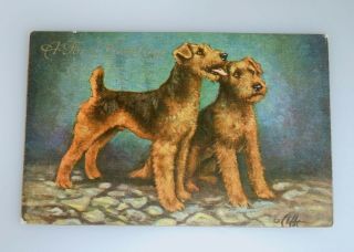 Vintage 1933 Airedale Terrier Dog Postcard  53336