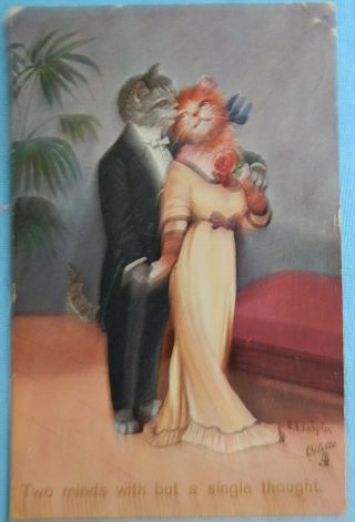 1912 Raphael Tuck Cat Postcard Kitts Little Love Affair Artist Signed