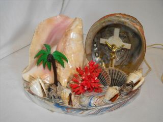 Large Vintage Mid - Century Double Conch Abalone Seashell Palm Coral Cross Tv Lamp