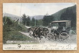 Vintage Postcard - " Between Cadosia And Hancock,  Ny ",  Horse Drawn Carriage 1906