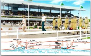 Ebro,  Florida Postcard " Washington County Kennel Club " Race Track Greyhound Dog