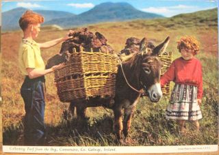 Irish Pc Collecting Turf In Connemara Ireland Red - Haired Kids John Hinde 2/26