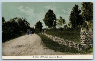 Postcard Nj Upper Macopin A View Of Upper Macopin Road Horse Buggy 1910 M09
