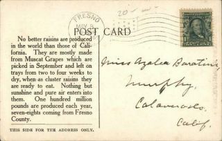 Fresno,  CA Indian Papoose - Raisin Day Eat raisins today April 30,  1909 Postcard 3