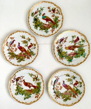 Andrea By Sedak Exotic Birds Dinner Plates Set/5 Smithsonian Institution