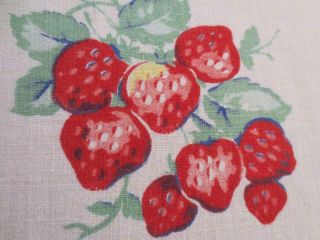 Vintage Fruit Print Handmade Tablecloth 37 