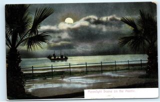 Moonlight Scene On The Pacific Ocean Palm Trees Boat Ship Vintage Postcard A54