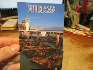 Vintage Old Postcard California San Francisco Pier 39 Lighthouse Sea Lions Seals