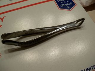 Vintage Pf Ingst Dental Extractors Tool No.  151 - 6 5/8 " Stainless