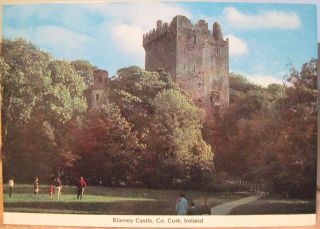 Irish Postcard Blarney Castle County Cork Ireland Stone Cardall 4x6 To Usa 1983