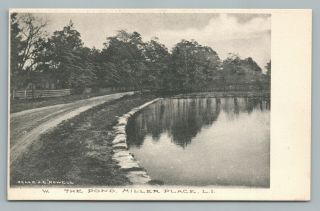 Pond—miller Place Ny Suffolk County York—antique Long Island Postcard 1910s