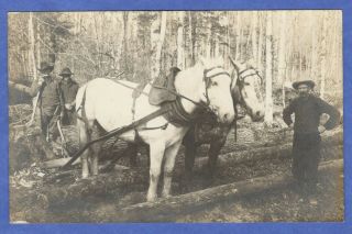 Kalkaska,  Mi,  Logging,  Timber,  Team Of Horses,  Men,  Rppc Real Photo Postcard
