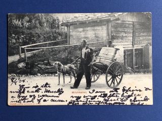Switzerland 1904 Antique Vintage Postcard Showing Man,  Dog,  Wagon.