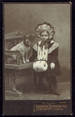Cdv Photo Girl With Dog (3630)