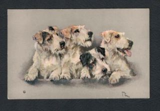 Jack Russell Dogs Terriers Artist Signed Postcard London Mansell Vintage