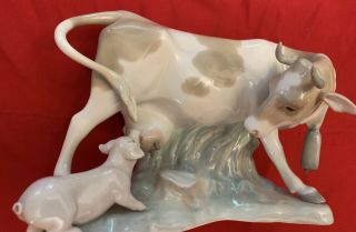 Vgc Lladro Figurine Cow With Nursing Pig Rare And