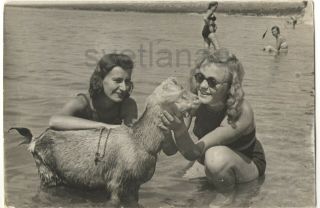 1948 Interesting Beach Scene Two Women Swimsuit Goat Pet Soviet Vintage Photo