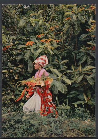 Caribbean Postcard - Trinidad In Costume,  The West Indies Rr2181