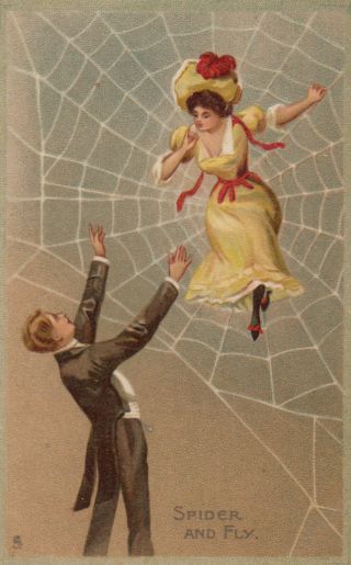 Woman Caught Up In A Spider 