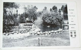 The Buckhorn Mesa Arizona Rppc 1930 