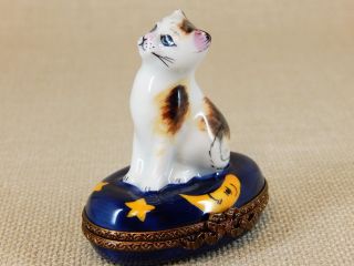 Parry Vielle Limoges France Hinged Trinket Box,  White Cat with Brown and Yellow 4