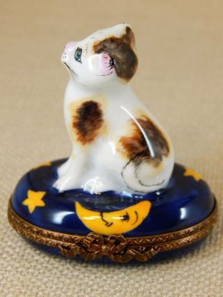 Parry Vielle Limoges France Hinged Trinket Box,  White Cat with Brown and Yellow 5