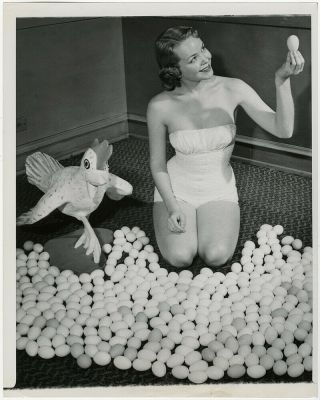 Pin - Up Bathing Beauty With Eggs Kooky Vintage 1950s Acme Newspictures Photograph