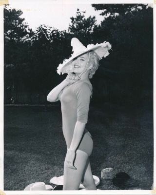 Gari Hardy 1960s 8 X 10 Sexy Cheesecake Swimsuit Press Photo