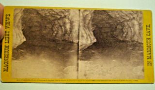 19.  Mammoth Cave,  24,  Kentucky,  Reg.  Format Waldack