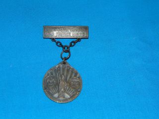 Wwi Service Medal,  U.  S.  Treasury Service,  Boy Scout Bsa (28)