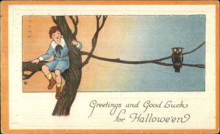 Halloween - Boy & Owl In Tree Bergman C1920 Postcard