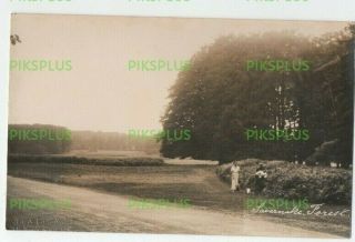 Old Postcard Savernake Forest Wiltshire Parsons Real Photo Hungerford 1920s