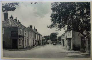 Norfolk Postcard Blofield - Blofield Street Showing Bickers Butchers Shop