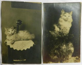 Vtg Antique 1910s Rppc Real Photo Postcards Aunt Lydia 