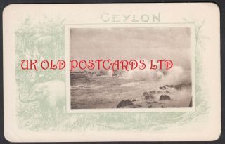 Ceylon - Rough Sea View,  Early Postcard
