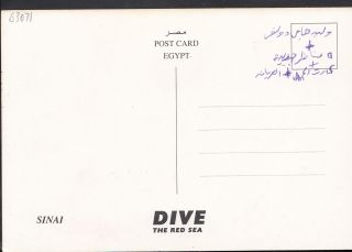 Egypt Postcard - Dive The Red Sea - Sinai Mountain Range B3071 2