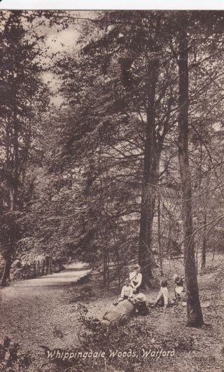 Watford - Whippingdale Woods,  Children Posing By Boots 1922