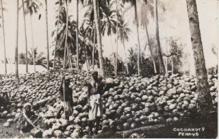 Postcard - Malaysia - Penang - Coconut Farmers - Rp C1950