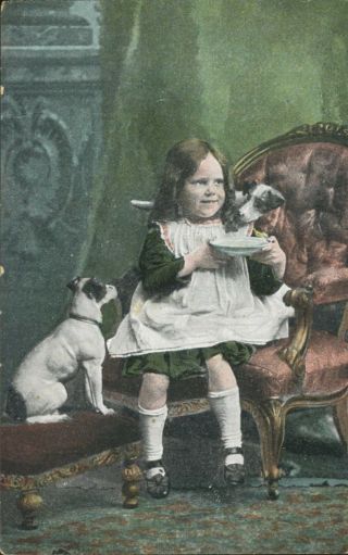 Young Girl Child W/ Dogs Pets Eating Green Star Series Vintage Postcard D8