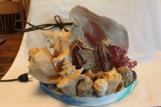 Vintage Seashell Tv Lamp Night Light With Coral,  Conch Shell And 2 Seahorses